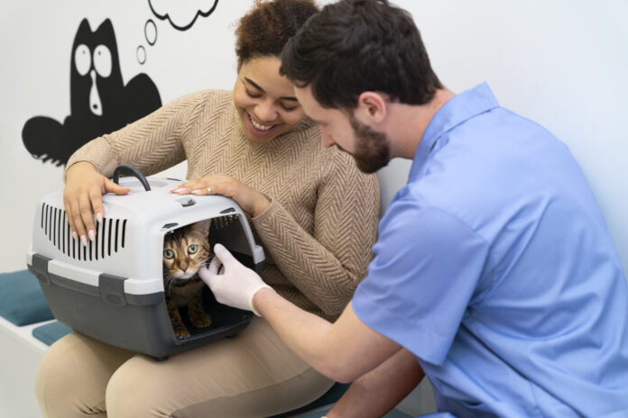 Gato em caixa de transporte sendo examinado por veterinário durante check-up anual.