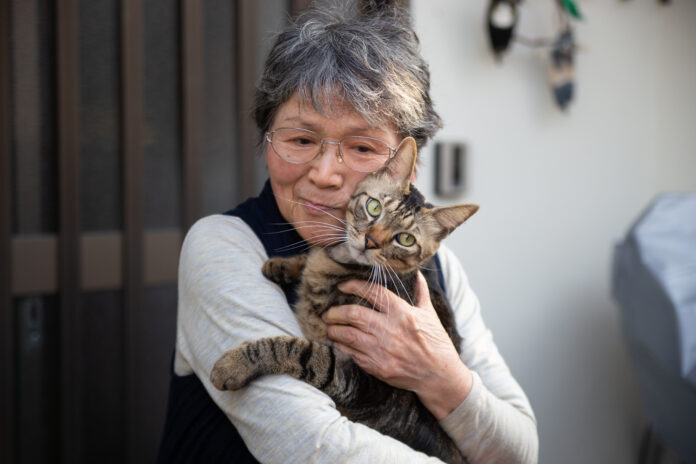 Senhora segurando gato idoso em seus braços, representando o vínculo e cuidados com felinos na terceira idade.