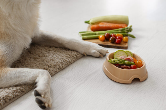 Dieta natural para cães com alimentos frescos como vegetais e carnes.